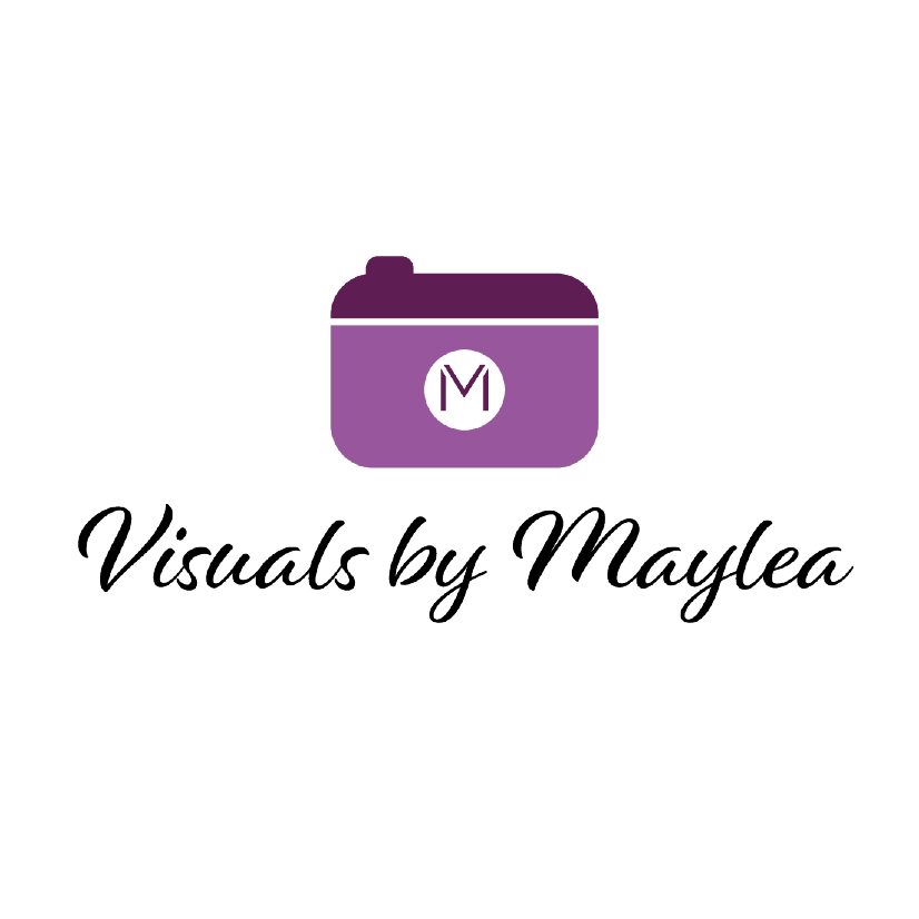 photography business branding with purple camera and script text: Visuals by Maylea